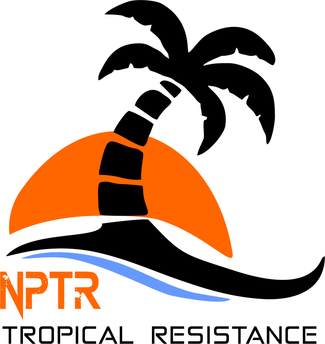 NetPoint NPTR - Antena para Zonas Salidas 
